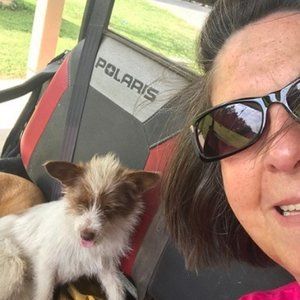 Meet your Posher, Josiane